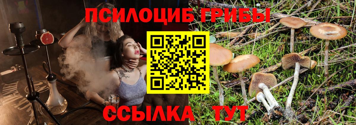 Галлюциногенные грибы Magic Shrooms  цена   Коркино  Псилоцибиновые грибы мицелий  Вход с VPN 