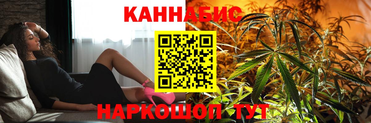 Бошки Шишки планчик Коркино